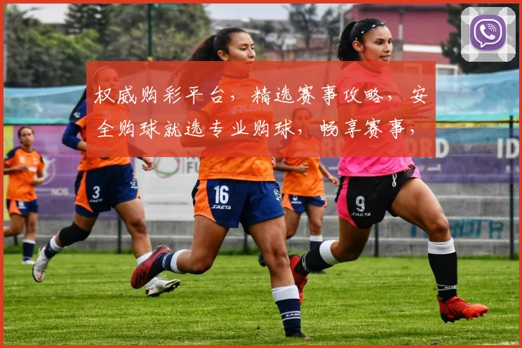权威购彩平台，精选赛事攻略，安全购球就选专业购球，畅享赛事，乐享人生