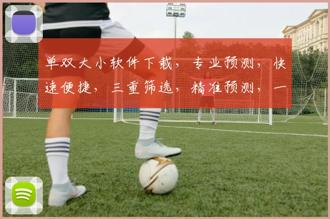 单双大小软件下载，专业预测，快速便捷，三重筛选，精准预测，一触即达
